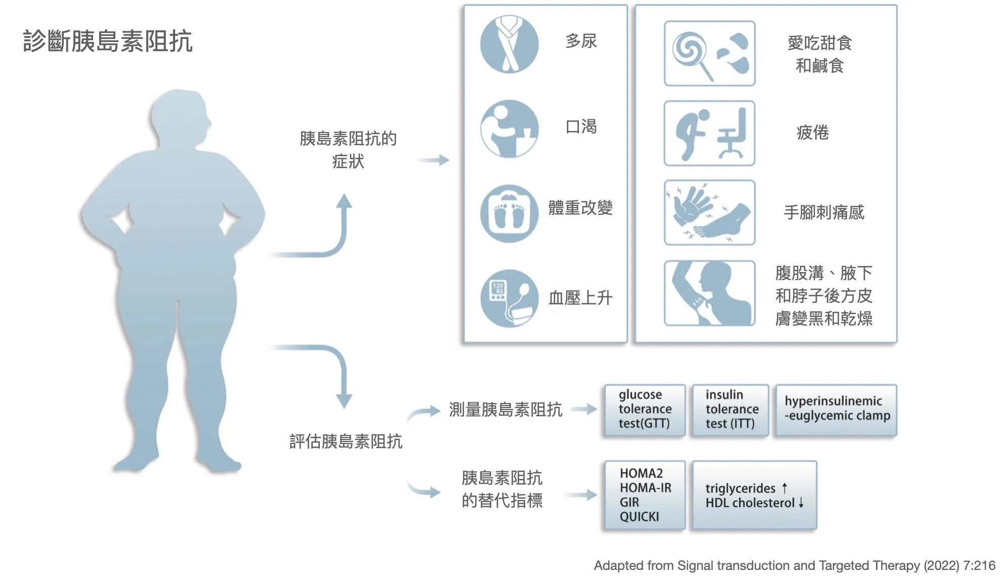什麼原因導致胰島素阻抗性？胰島素阻抗性會對健康帶來什麼危害？